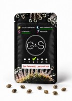 San Fernando Lemon Kush feminised Ganja Seeds