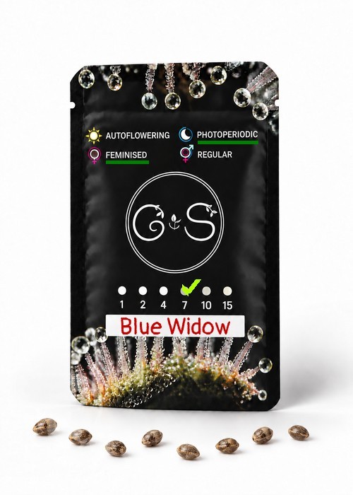Blue Widow feminised Ganja Seeds