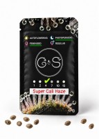Super Cali Haze feminised Ganja Seeds