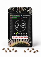 Auto Super Silver Haze feminised Ganja Seeds