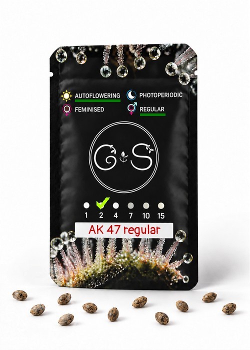 Семена  Auto AK 47 regular Ganja Seeds