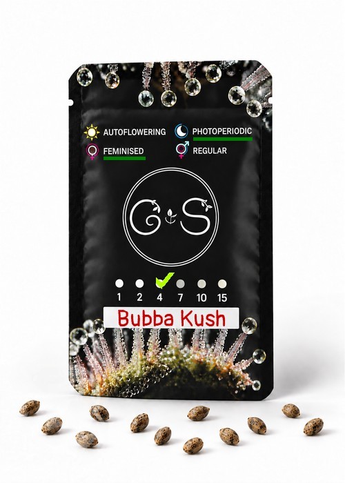 Bubba Kush feminised Ganja Seeds