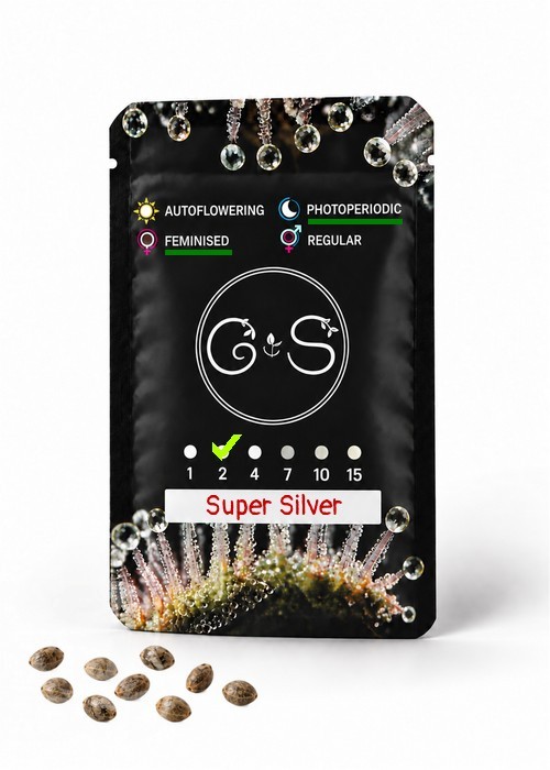 Семена конопли  Super Silver feminised Ganja Seeds