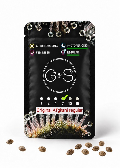 Семена каннабиса  Original Afghani regular Ganja Seeds