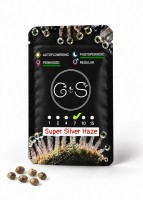 Super Silver Haze feminised Ganja Seeds