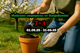 Майские сюрпризы от GanjaSeeds!